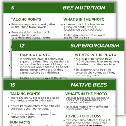 Educational Beekeeping Cards – 12x18 Oversized Beekeeping Flashcards for Teaching Bees and Beekeeping - Classroom and Workshop Learning Tool (Complete Set - Laminated)