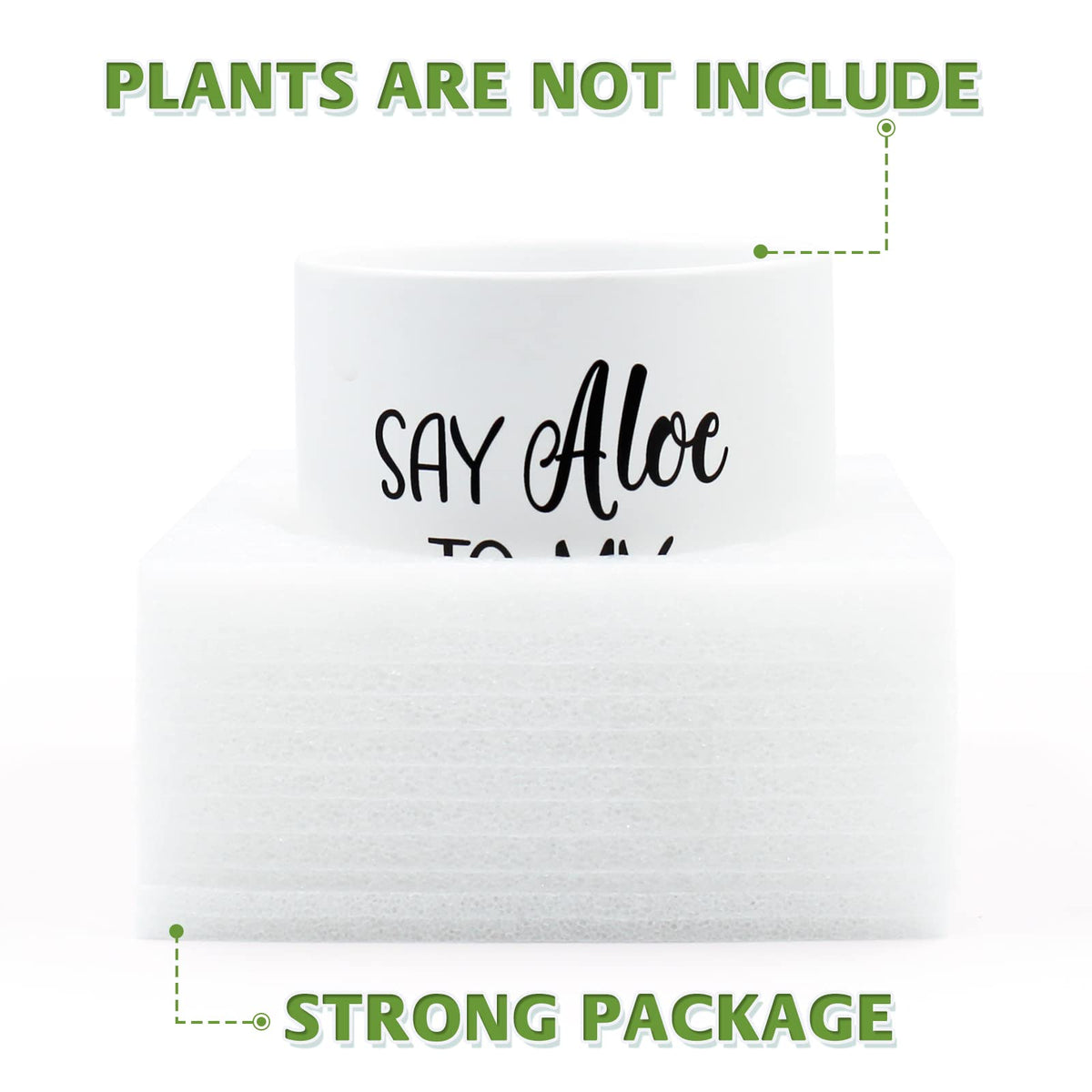 Tuitessine Say Aloe to My Little Friend Planter Plant Lover Set of 2 Spring Funny Pun Flower Pot with Bamboo Tray Ceramic Indoor Succulent Hole Spring Birthday Housewarming Gifts (No Plants)