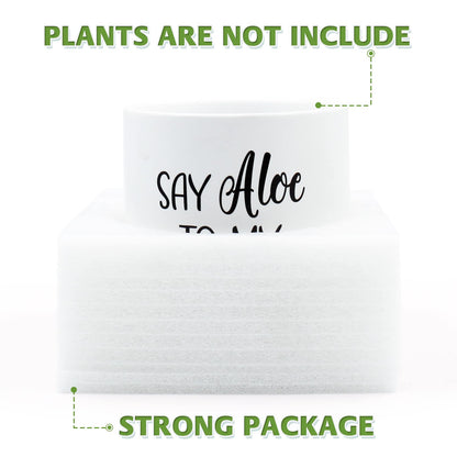 Tuitessine Say Aloe to My Little Friend Planter Plant Lover Set of 2 Spring Funny Pun Flower Pot with Bamboo Tray Ceramic Indoor Succulent Hole Spring Birthday Housewarming Gifts (No Plants)