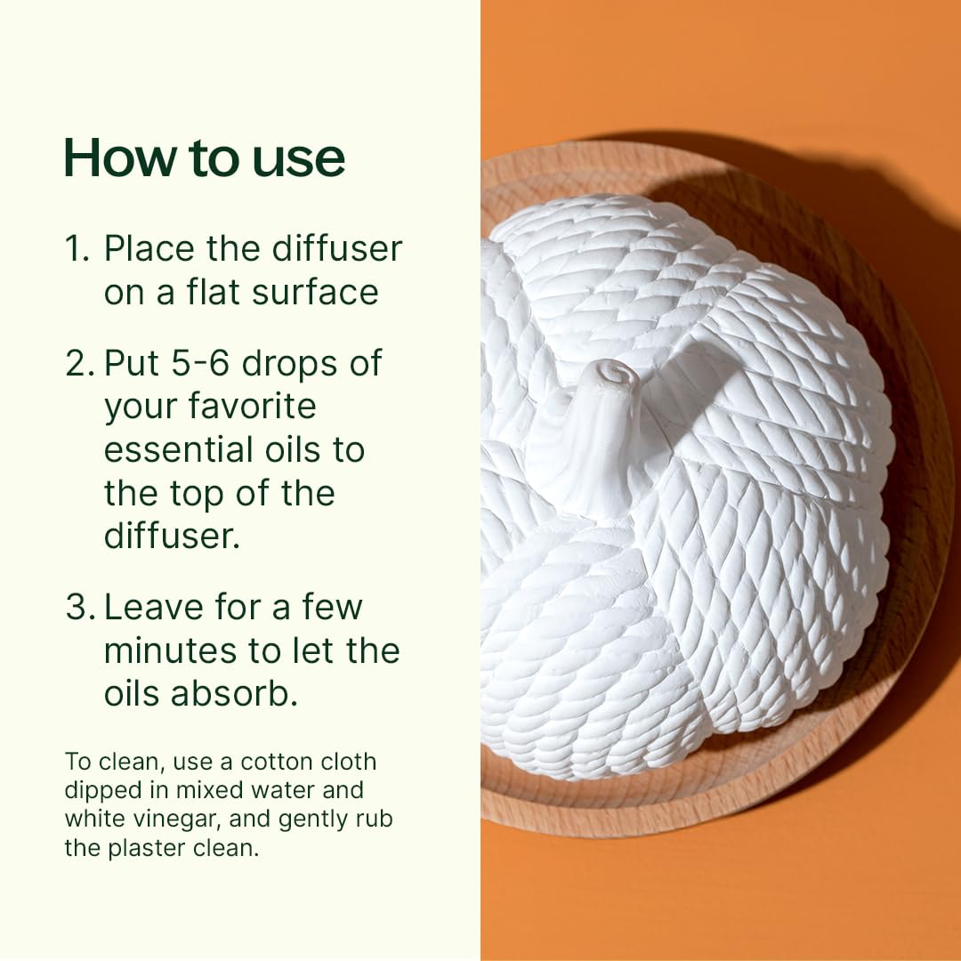 Plant Therapy Passive Lotus Flower Aromatherapy Diffuser - A Chic and Natural Home, Office, and Travel Essential Oil Diffuser