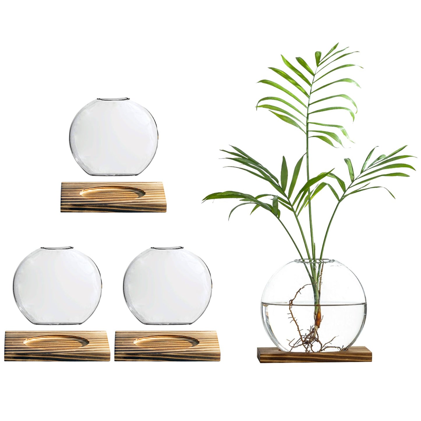 wangsdjy Glass Planter Propagation Station with Wooden Base - Clear Oblate Hydroponic Vase, Decorative Desktop Flower Vase for Home, Office, Windowsill - Gift for Plant Lovers (4)