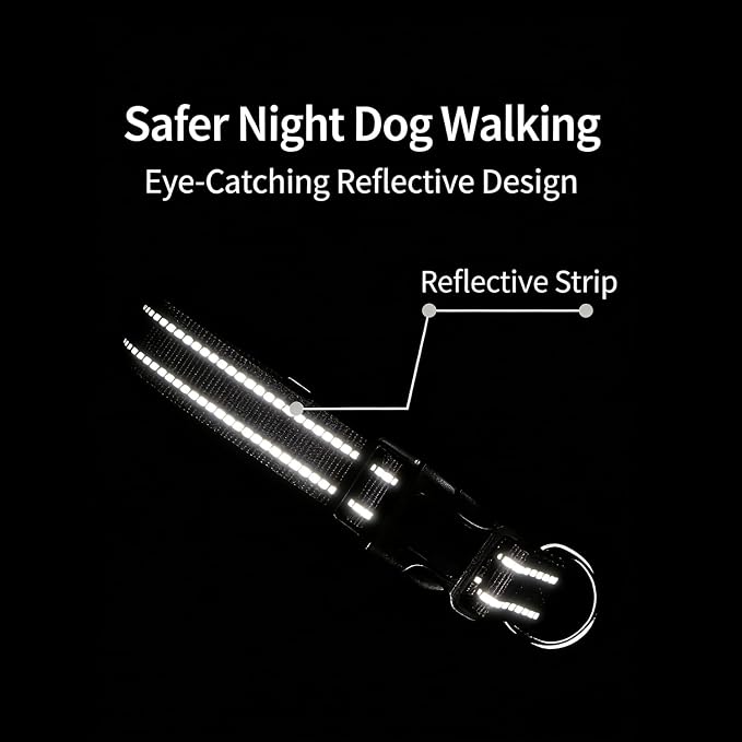 Dog Collar Leash Set, Gradient Color, with Safety Reflective Strips, 5 ft Matching Leash, Neoprene Padded Handle, Adjustable 4 Sizes for Small Medium Large Dogs.(M, Lilac Pink)