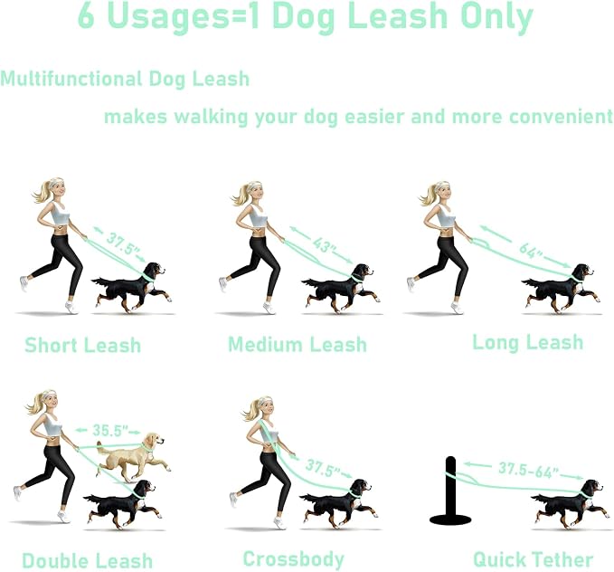 ZALER Dog Collar and Leash Set, Waterproof Adjustable Odor Proof Pet Collars Leashes Easy to Clean, 6FT Dog Leash with 2 Hooks for Large, Medium Small Dogs (L, Mint Green)