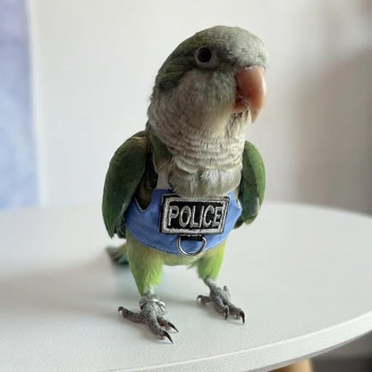 2 Pack Bird Flight Suit Vest, Adjustable Parrot Harness Clothes with Cute Design, Anti-Bite Outdoor Training Outfit for Parakeet, Cockatiel, Conure, Quaker, Budgie (XL,Without Leash)