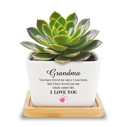 Grandma Gifts Mothers Day Plant Pots Gifts for Grandma Birthday Gift for Nana Granny Grammy Grandmother Nannie Meemaw Maw Maw Nanna from Grandson Granddaughter Grand Mother's Day Valentines Christmas
