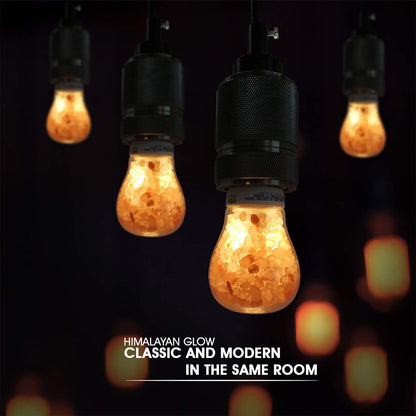 Himalayan Glow 60-Watt Salt Light Bulb - 1 Count, Dimmable, Fits Most Salt Lamps, Warm Ambiance, Room Decor, Home Decor, Energy Efficient, Long Lasting, Relaxation, Gift