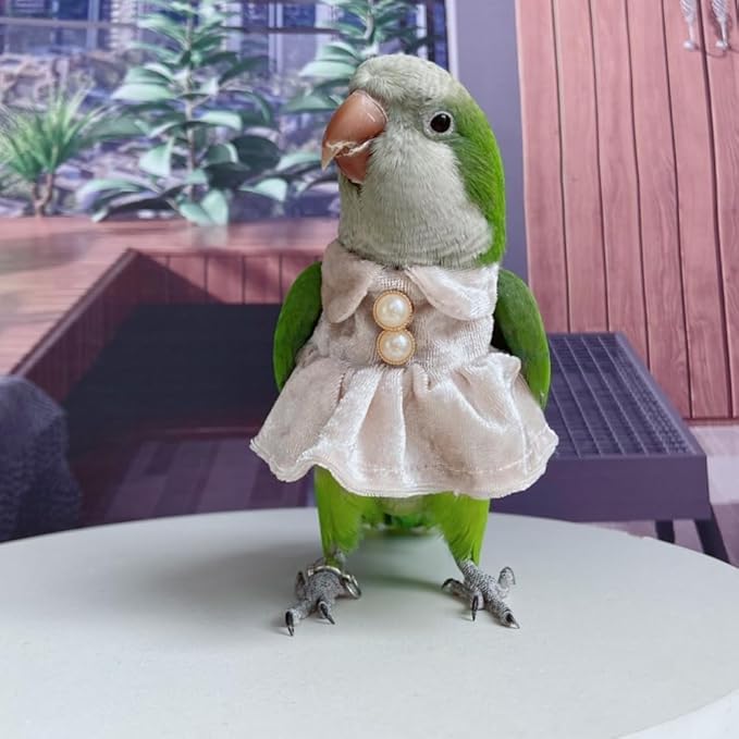 Bird Costume Bird Diaper Flight Suit Parrot Velvet Fleece Skirt Clothes Cosplay Photo Prop for Conure Lovebird Parakeet Cockatiel Macaw Small Animals Apparel (Pink,Sulphur-Crested Cockatoo)