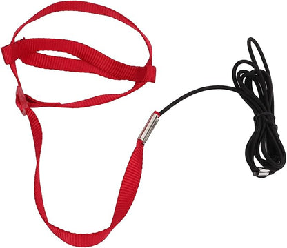 Elastic Parrot Harness Leash Bird Leash Bite Proof Harness Adjustable Parrot Flying Training Rope with Metal Hook Nylon Webbing for Cockatiels Walking (XL)