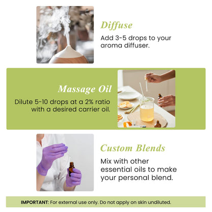 Handcraft Blends Lavender Essential Oil – Huge 4 Fl Oz – 100% Pure and Natural – Premium Grade Essential Oil for Diffuser and Aromatherapy, Skin, Massage, Candle and Soap Making Fragrance