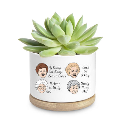 Golden Girls Planter, Golden Girls Merchandise, Friend Gifts for Women, Funny Succulent Planter, Flower Cactus Plant Pot, Friendship Gifts for Friends Bestie Sister Birthday (Plant Not Included)