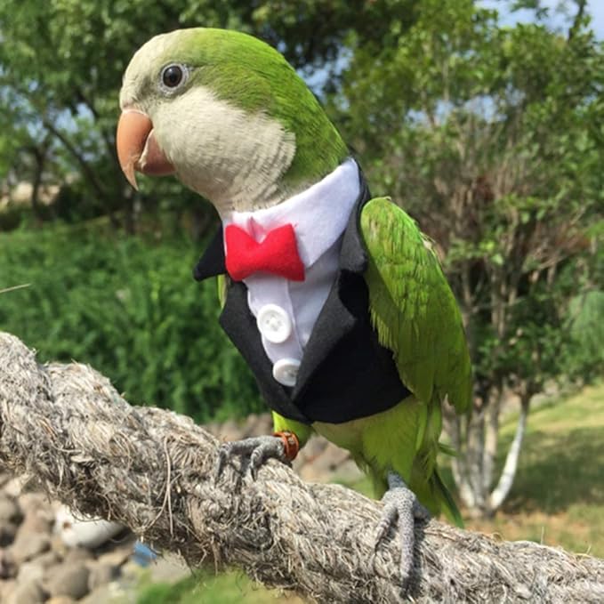 Bird Clothes Birds Flight Suit,Tuxedo Business Suit for Parrots African Greys Parakeet Cockatiel Sun Conure Christmas Party Birthday Cosplay Photo Prop Small Animals Apparel (L,Black Suit)