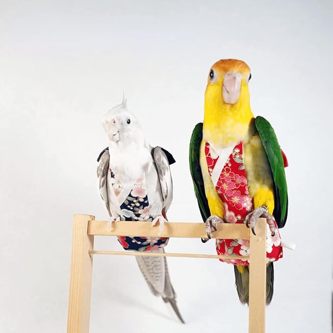 Bird Flight Suit Diapers for Monk Parakeets, Cockatiels - Parrot Clothes, Training Nappy Suit Liners (Small, Red-A)