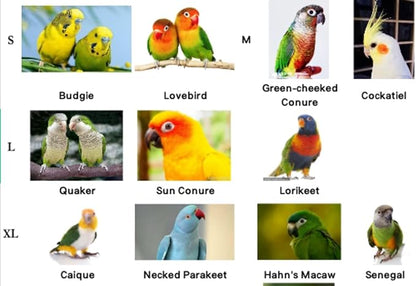 Bird Harness Leash Adjustable Outdoor Training Flying Harness Traction Rope with Cute Wing for Parrots Pigeons Budgerigar Lovebird Cockatiel Mynah (S,Purple)