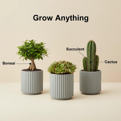 Flowers and Succulent Plant Pots, Ceramic flower Pots and Drainage Hole, Bonsai Planter Large Flower Pots for Indoor Outdoor Use for Home Office Garden Decoration,Plants not included (Blue)