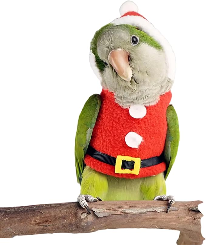 Bird Clothes Birds Flight Suit, Christmas Hoodie for Parrots Cockatiel Sun Conure Christmas Party Cosplay Photo Prop Bird Shirt Small Animals Apparel (with Diaper,Blue Quaker)
