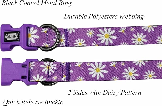 Dog Collar Leash Set, Floral Pattern, Polyester Material, Adjustable Collar and 5ft Matching Leash, for Medium Dogs.(M, Purple Daisy)