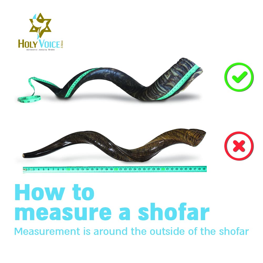 Holy Voice Sterling Silver-Plated 43"-47" Decorative Jerusalem Shofar Horn from Israel Judaica Gift Set with Stand, Carrying Bag, Brush, Made in Israel
