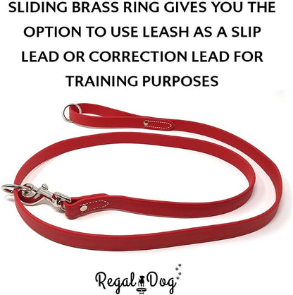 Regal Dog Products Large Red Waterproof Dog Collar and Leash Set | Heavy Duty Double Buckle & D Ring - 5'ft Leash | Adjustable Biothane Dog Collar | Chew Resistant Waterproof Collar for Dogs