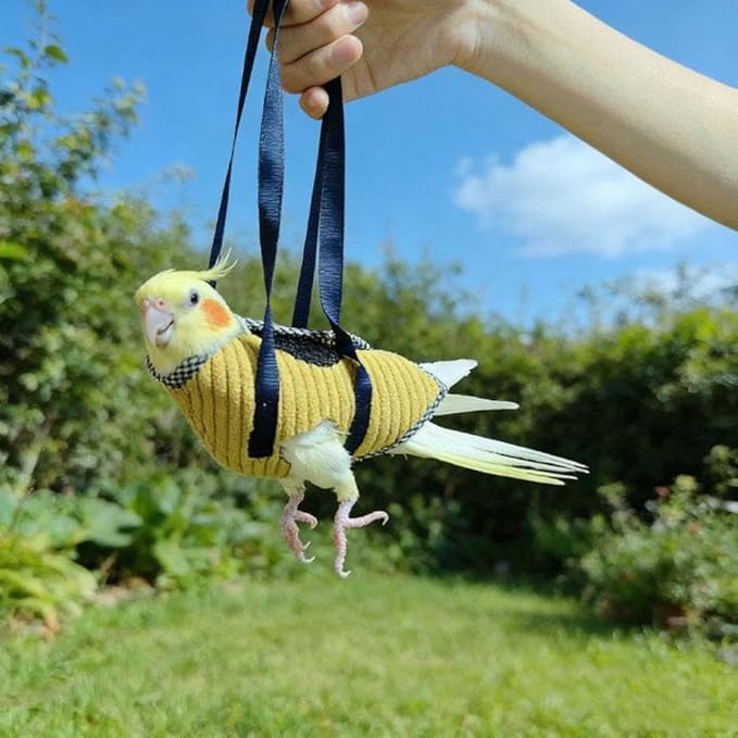 Bird Travel Carrier, Portable Bird Bag with Escape Resistant Outdoor Harness Vest for Small Medium Parrots, Cockatiel, Budgie, Ideal for Travel and Outdoor Adventures (L) (10cm)