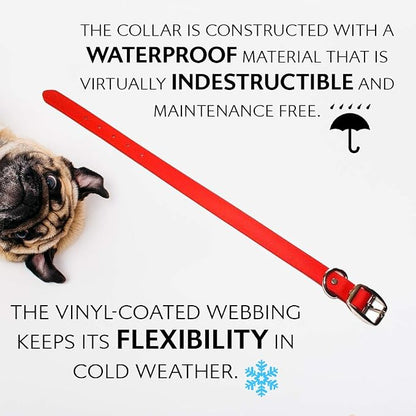Regal Dog Products Medium Red Waterproof Dog Collar and Leash Set | Heavy Duty Double Buckle & D Ring - 5'ft Leash | Adjustable Biothane Dog Collar | Chew Resistant Waterproof Collar for Dogs