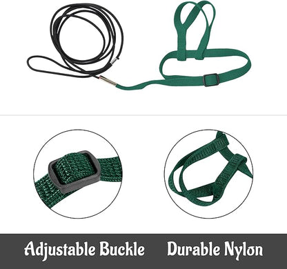 2 pcs Pet Parrot Bird Harness and Leash, Adjustable Training Design Anti-Bite, Outdoor Flying Training Rope Kit for Bird Parrots Fits Birds Chest Between35-62cm /13.78-24.41inch - L (Green