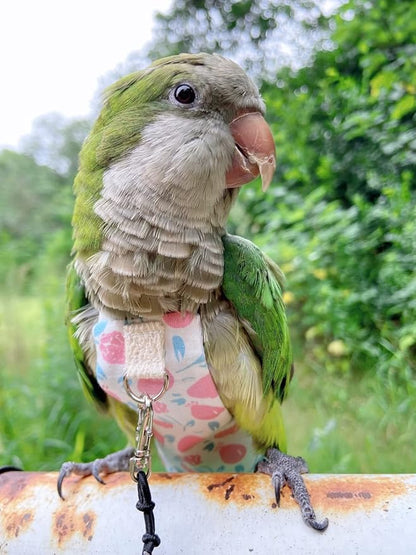 Bird Diaper Harness Flight Suit Clothes, Parrot Flight Suit with Leash, Bird Flying Clothes with Rope and Handle for Outdoor Activities Training (Pink Without Leash,Large)