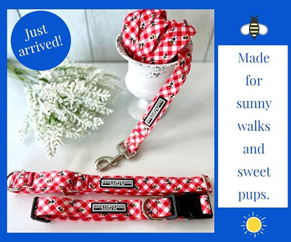 Lucky Love Dog - Easy Click Buckle Dog Collar with Leash Set Combo, Durable & Comfortable for Male & Female Dogs, Pet Collar for Small Dogs, Secure Fit - Bailey Combo, Small