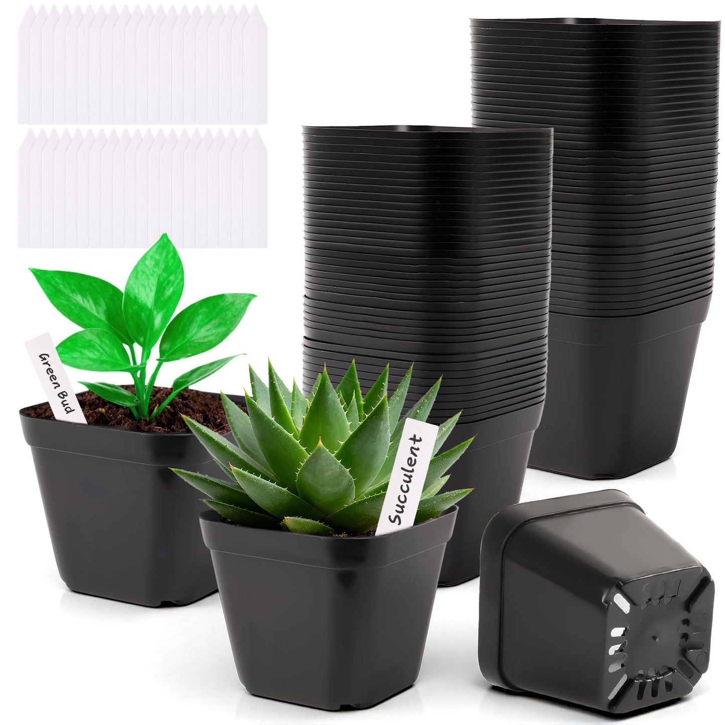 FCKLVMC 60 Pcs 4 Inch Square Nursery Pots with 60 Plant Labels, Durable Flexible Plastic Planter Nursery Pots, Square Pots for Plants with Drainage Holes for Plants Succulent Flower