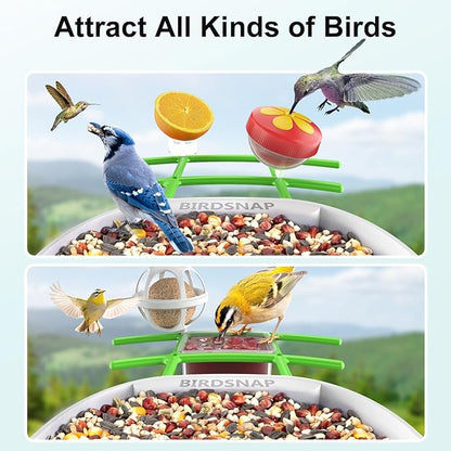 birdsnap® PAV-Bird Feeder with Camera,2K HD with 64GB Card, AI Identify Smart Bird House Cam Solar Panel,Live Stream,Motion Detection,Auto Record Video for Backyard Outdoors,Ideal Gift for Bird Lover
