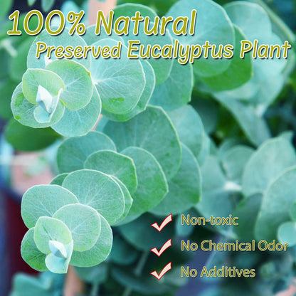 1600+Preserved Real Eucalyptus Leaves Small, Pure Natural Bulk Eucalyptus, Wedding Leaves Confetti for Anniversaries, Birthday, Graduation, Bridal Showers, Baby Shower Party Decor