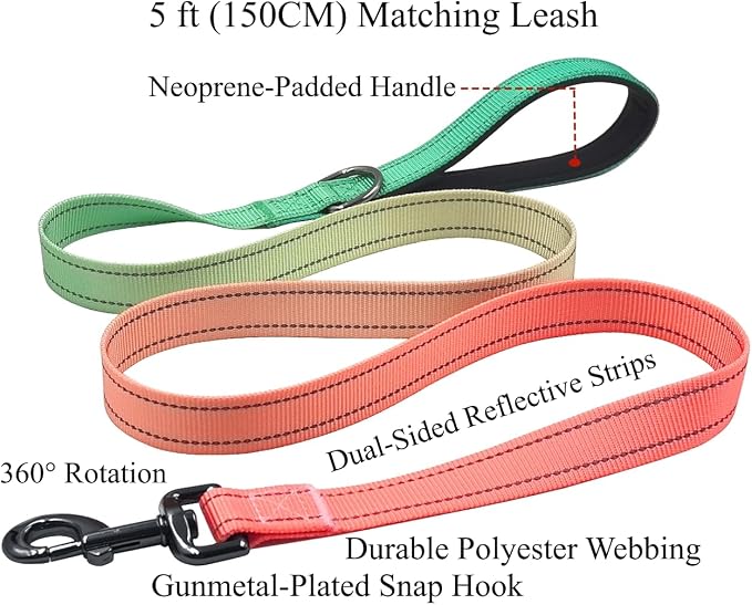 Dog Collar Leash Set, Gradient Color, with Safety Reflective Strips, 5 ft Matching Leash, Neoprene Padded Handle, Adjustable 4 Sizes for Small Medium Large Dogs.(M, Green Orange)