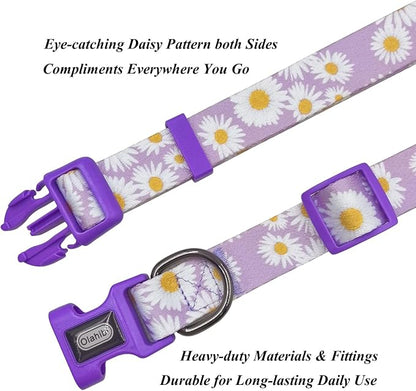Dog Collar Leash Set, Floral Pattern, Polyester Material, Adjustable Collar and 5ft Matchcing Leash, for Medium Dogs.(M, Light Purple Daisy)