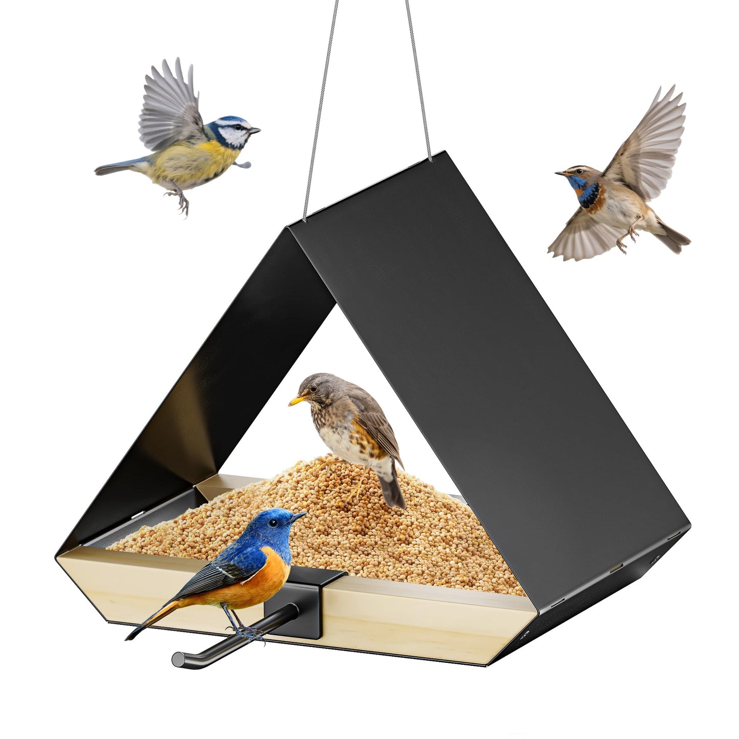 HOSUN Black Sturdy Metal Roof Bird Feeder - Durable Outdoor Hanging, Easy to Clean, Metal Mesh Ventilated, Bird Watching Gift & Garden Decor for Cardinals, Bluebirds & Wild Birds