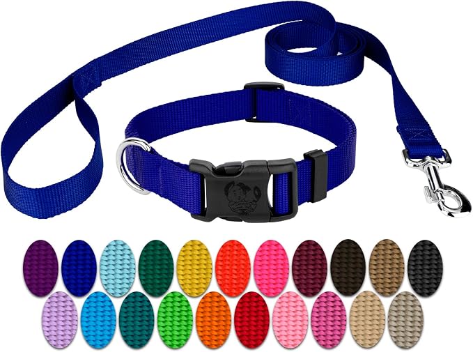 Country Brook Petz - Everyday Nylon Dog Collar and Leash - 10+ Cool Colors (3/4 Inch, Small, Bright Royal Blue)