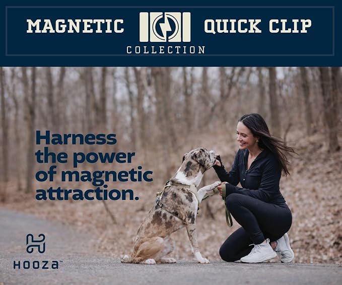 Quick Clip Dog Collar & Rope Leash Set, Sand Large – Magnetic Buckle, Reflective