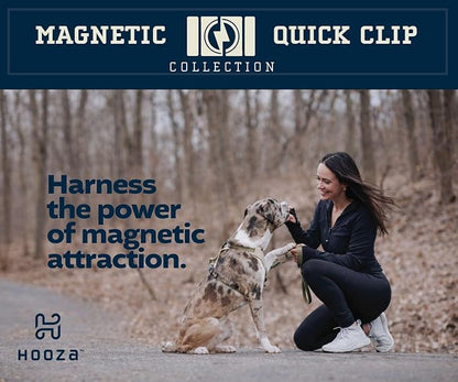 Quick Clip Dog Collar & Rope Leash Set, Blue Large – Magnetic Buckle, Reflective