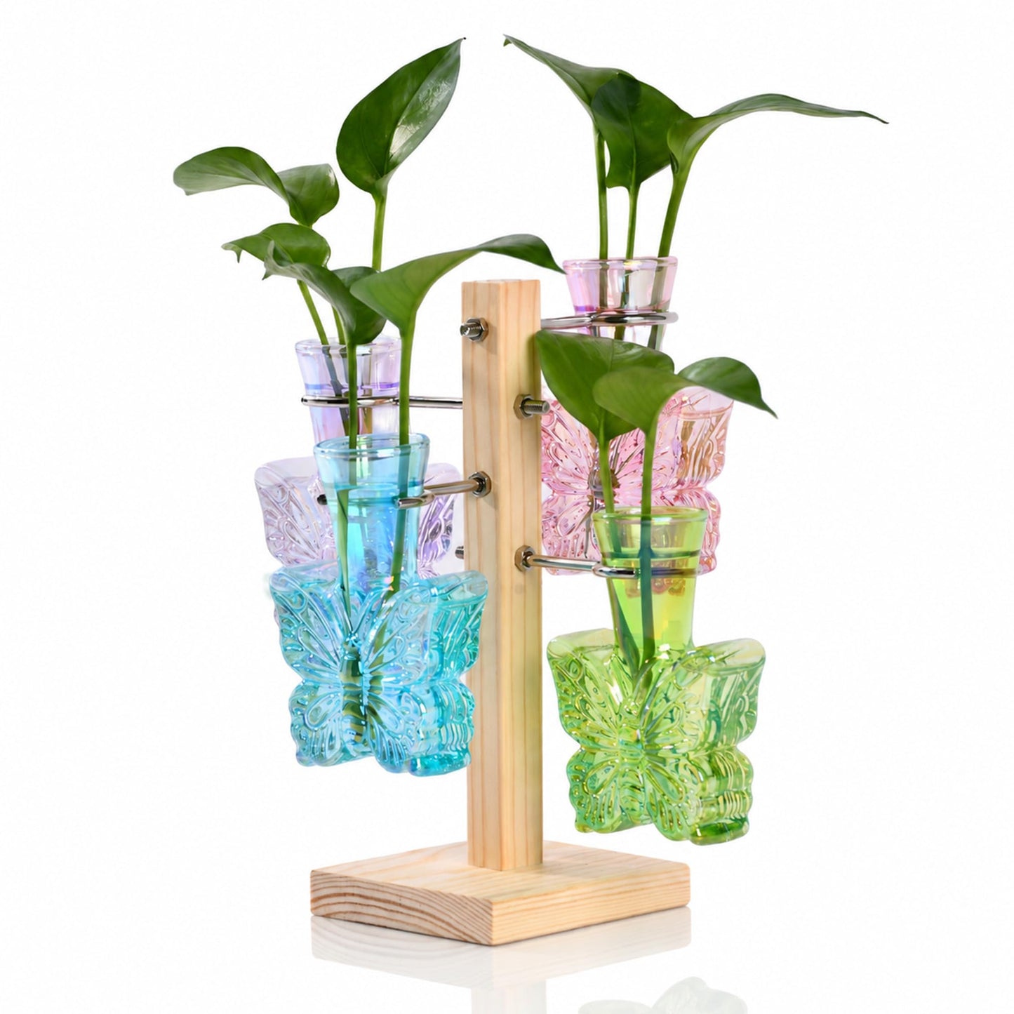 Nacome Plant Terrarium Propagation Stations: Colored Vase with Wooden Stand