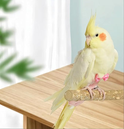 2Pcs Bird Diapers Bird Harness Flight Suits Diapers with 80 Inch Flying Leash Parrot Nappy Washable Cute Urine Wet Suit for Cockatiel Conure Macaw Budgies Parakeet-Rabbit&Watermelon,S