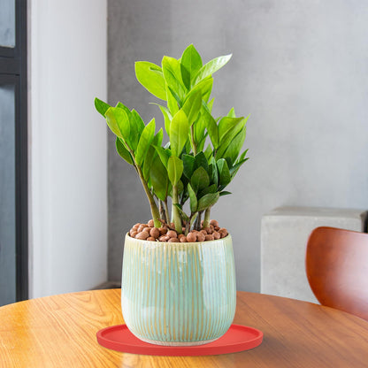 PATIKIL 7.7 Inch Round Ceramic Plant Saucer, Plant Saucer Tray Flower Planter Drip Tray for Indoors Outdoors Patio Balcony, Turquoise