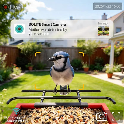 Smart Bird Feeder with Camera 2.5K HD, BOLITE Bird House for Outdoors, AI Auto-Capture & Motion Detection, Weatherproof Camera, Solar Powered, Ideal Gift for Men Women Mom Dad & Bird Lovers, Red