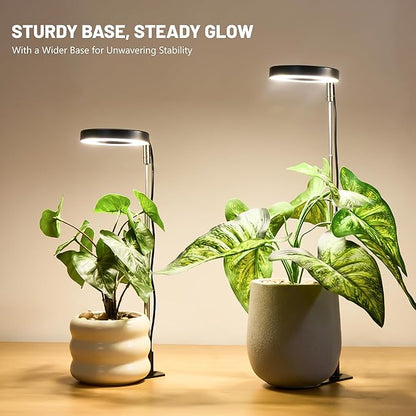 LBW Grow Light for Indoor Plants, Full Spectrum Plant Grow Light with Base, Height Adjustable Plant Growing Lamp with Auto On/Off Timer 6/8/12/16H, 3 Colors,5 Dimming Levels, for Small Plants, Black