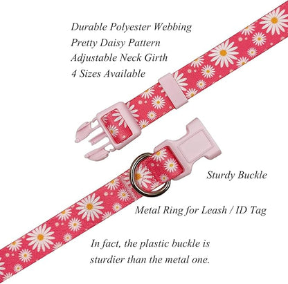 Dog Collar Leash Set, Floral Pattern, Polyester Material, Adjustable Collar and 5ft Matching Leash, for Medium Dogs.(M, Daisy)