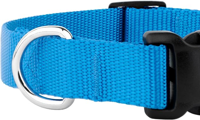 Country Brook Petz - Everyday Nylon Dog Collar and Leash - 10+ Cool Colors (1 Inch, Large, Ice Blue)