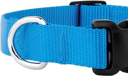Country Brook Petz - Everyday Nylon Dog Collar and Leash - 10+ Cool Colors (3/8 Inch, 2XS, Ice Blue)