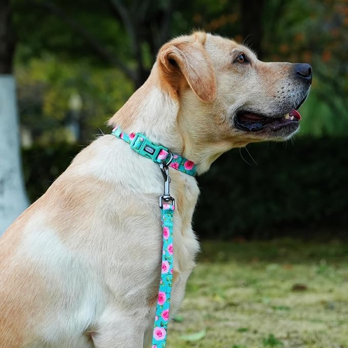 Dog Collar and Leash Set, Rose Pattern, Polyester Material, 5ft Matching Leash, for Large Dogs.(L, Green Rose Set)