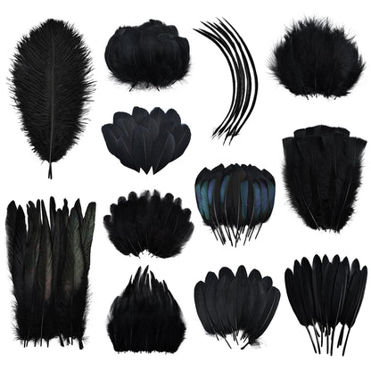 Daieeparty 360pcs Small Pheasant Feathers 12 Style Mixed Feathers Natural Feathers for Crafting Wedding Dream Catcher Hats Decoration