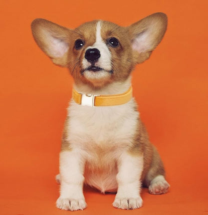 Soft Cotton Dog Collar with Metal Buckle Adjustable Heavy Duty Comfy Corduroy Collars for Small Medium Large Dogs,Orange,Large