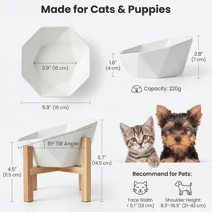 Ceramic Tilted Raised Cat Bowl - Elevated Food Bowl for Indoor Cats & Small Dogs - Shallow Wide Whisker-Friendly Design - Pet Dish Suitable for Feeding Dry, Wet, Treats & Canned Food - White