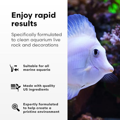 Brightwell Aquatics MicroBacter Clean - Microbial Culture & Enzyme Blend Fish Tank Cleaner - Cleans Live Rock Surfaces for Saltwater Fish Habitats - Aquarium Water Treatments, 16.9 fl oz
