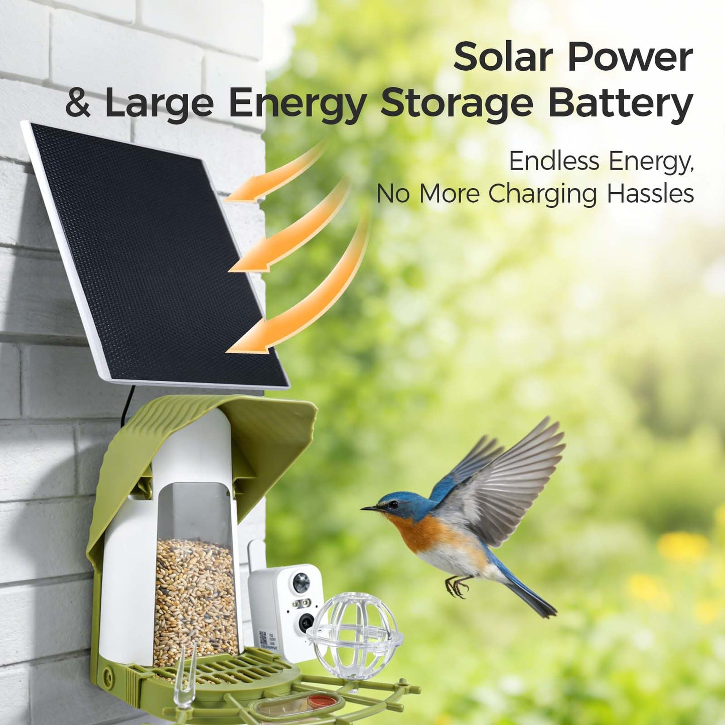 Upgraded Smart Bird Feeder with Camera, AI Species Identify, Adjustable Exterior Camera, 2K HD Live View & Motion Alerts, Weatherproof Outdoor Bird Feeder for Bird Lovers